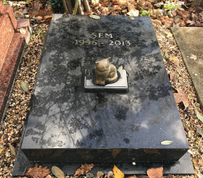 Кладбище собак в Париже: необычное место, где хранят память о питомцах