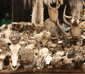 Akodessewa Fetish Market или африканский вуду-супермаркет