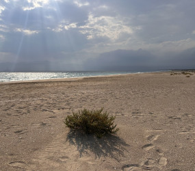 Пляж Кум Махаллеси — 32 фото, как добраться из Мерсина