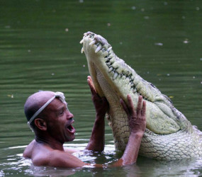 Необычная дружба животных (фото и видео)