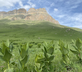 Поездка на перевал Актопрак, Чегемские водопады и озеро Гижгит