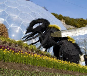 Рай в каолиновом карьере