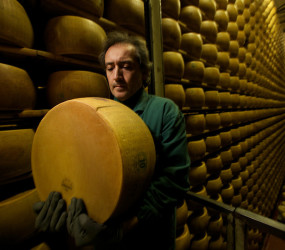 Необычные банки мира: сырный банк в Италии