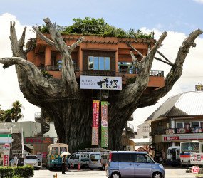 Ресторан на дереве, Окинава, Япония