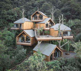 Причудливый курорт «Дом на дереве» в Ханчжоу, Китай