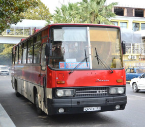 «Икарус» возвращается – теперь электрический!