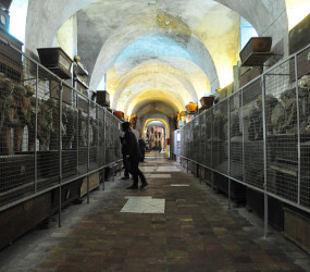 Катакомбы Палермо: не для слабонервных