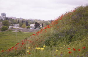 Херсонес Таврический – фотографии России