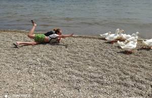 Дикий – фотографии России