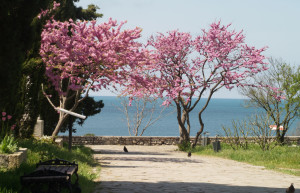 Херсонес Таврический – фотографии России