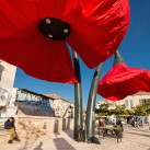 Надежда Перова, 39, Москва, Россия