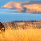 Лада, 29, Москва, Россия