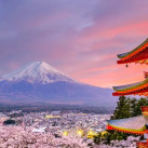 Вениамин, 38, Москва, Россия