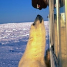Денис, 36, Москва, Россия