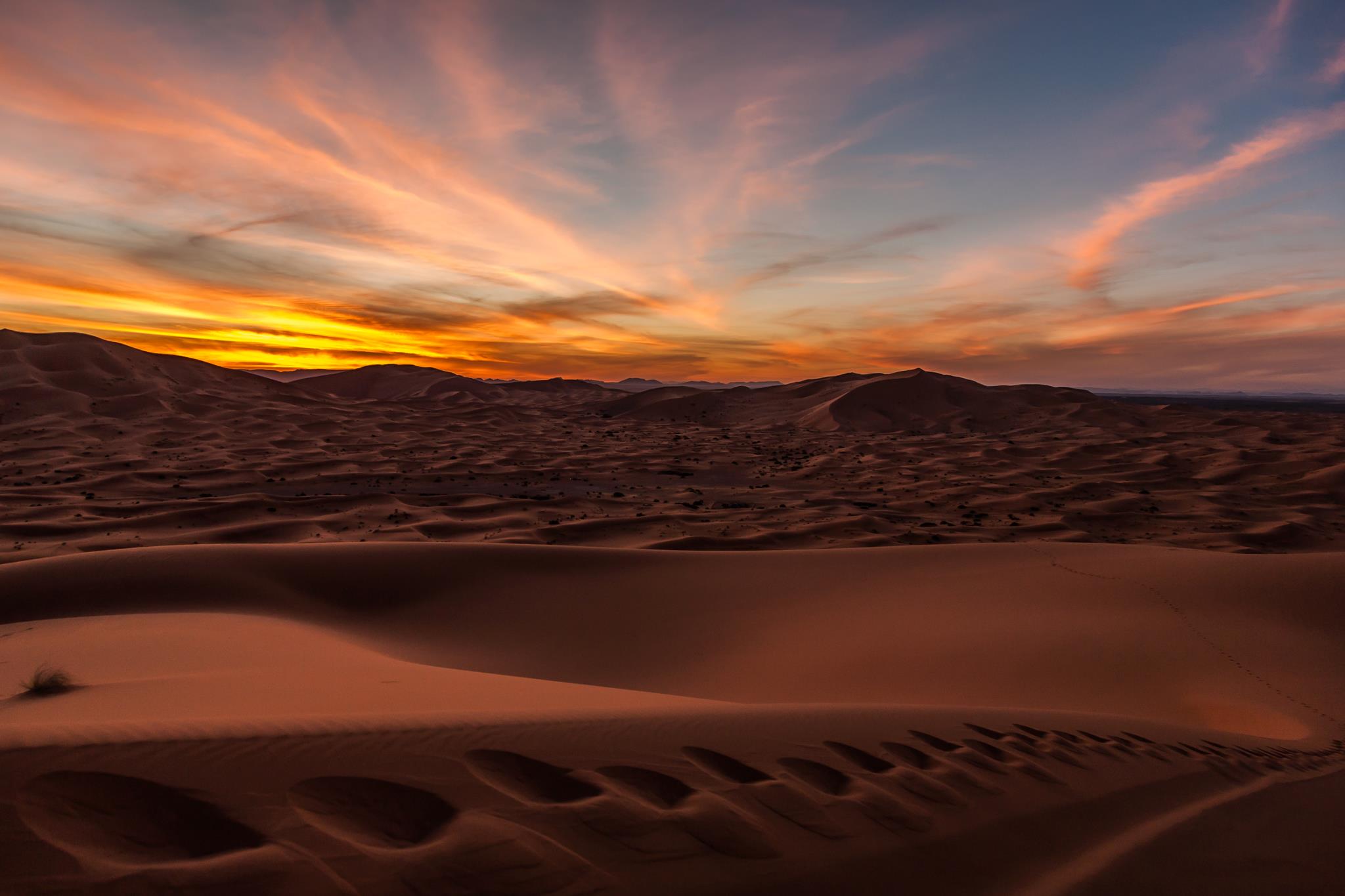 Пустыня Сахара является самой крупной и наиболее жаркой пустыней на планете