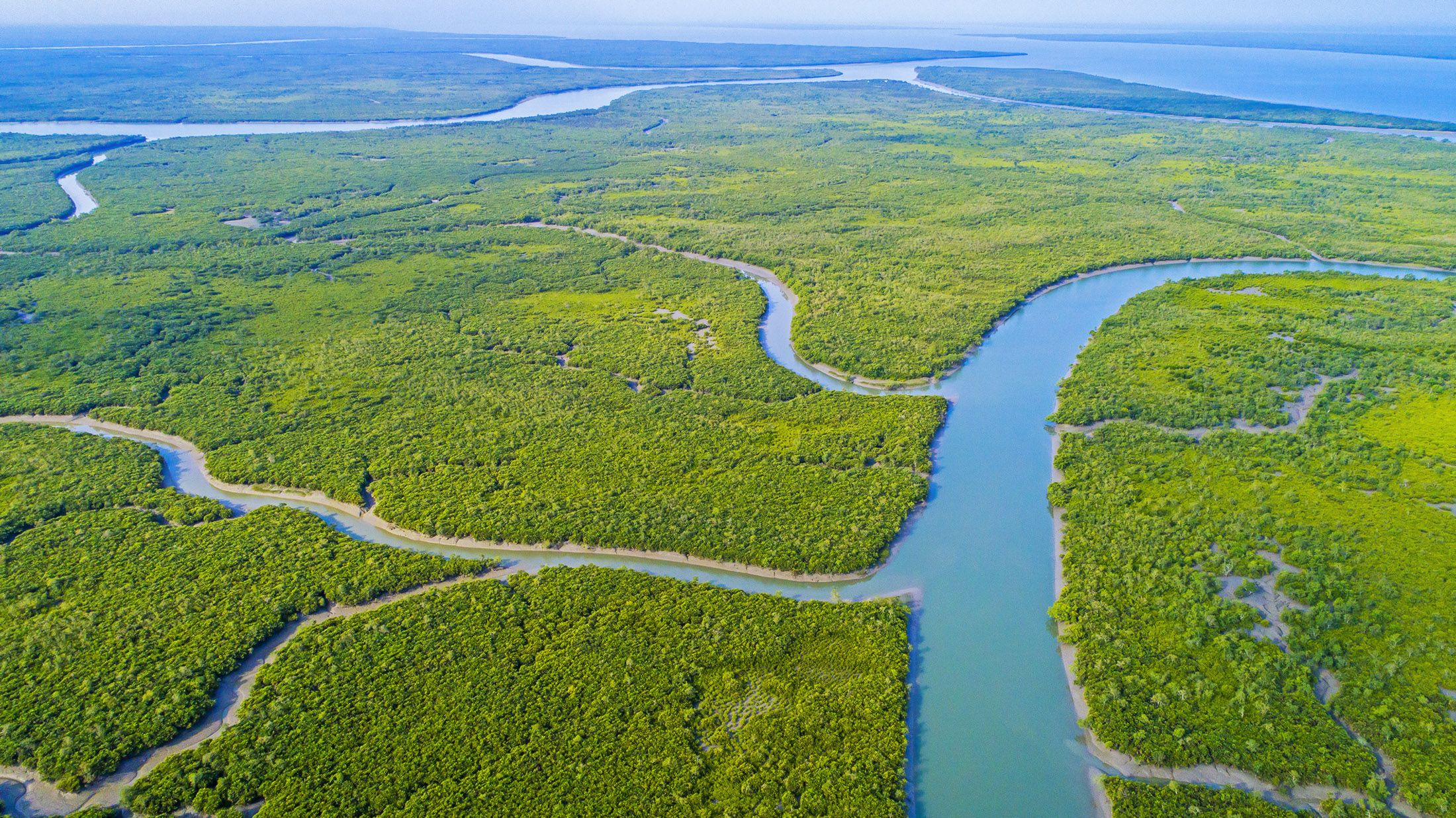 Сундарбаны (Sundarbans)