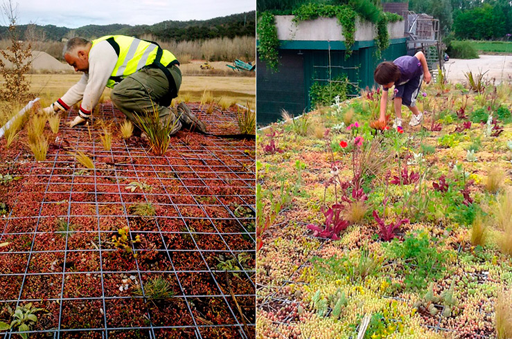 Идея создания садов принадлежит компании PhytoKinetic Идея создания садов принадлежит компании PhytoKinetic