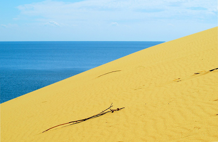 Куршская коса. Калининградская область  Куршская коса. Калининградская область