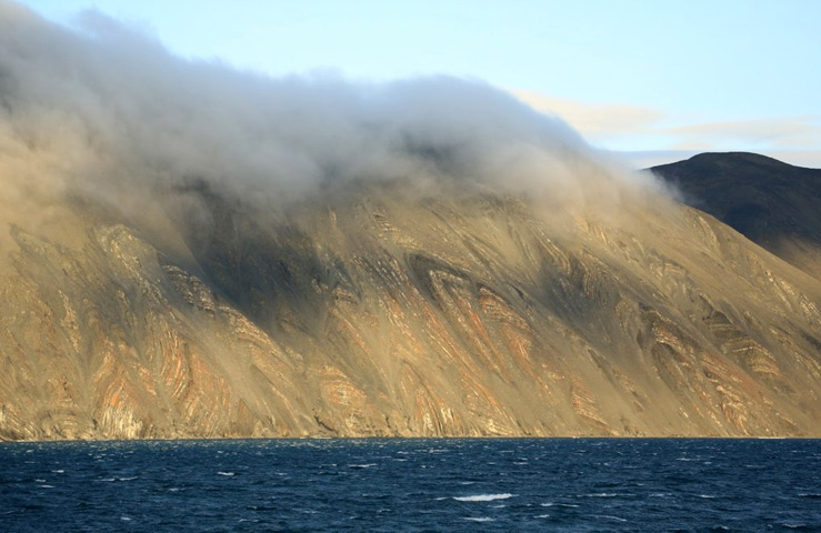 Остров Врангеля. Чукотка Остров Врангеля. Чукотка