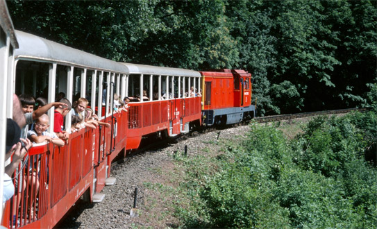 Детская железная дорога Детская железная дорога