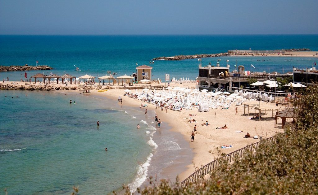 Сезон медуз в Израиле Сезон медуз в Израиле