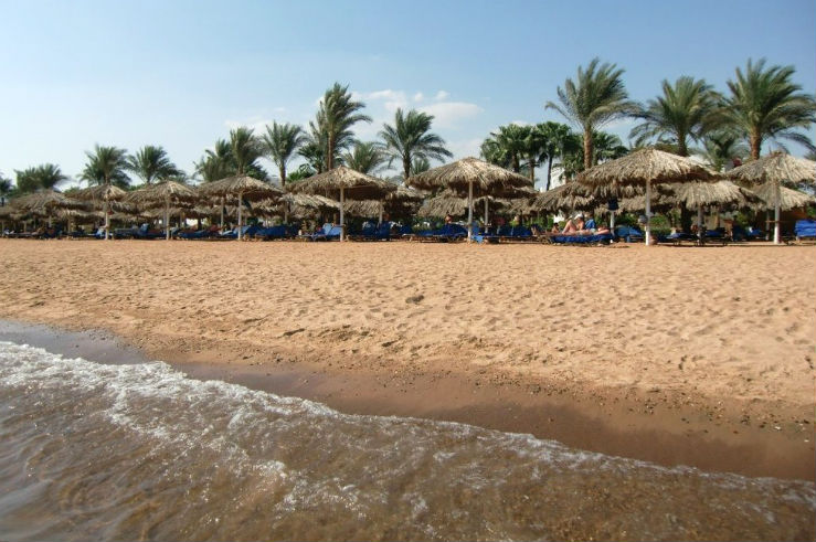 Пляж отеля Iberotel Palace 5* Пляж отеля Iberotel Palace 5*